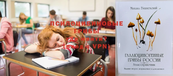МДПВ Алексеевка