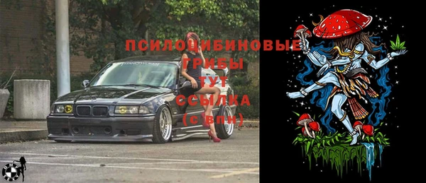 мяу мяу мука Абдулино