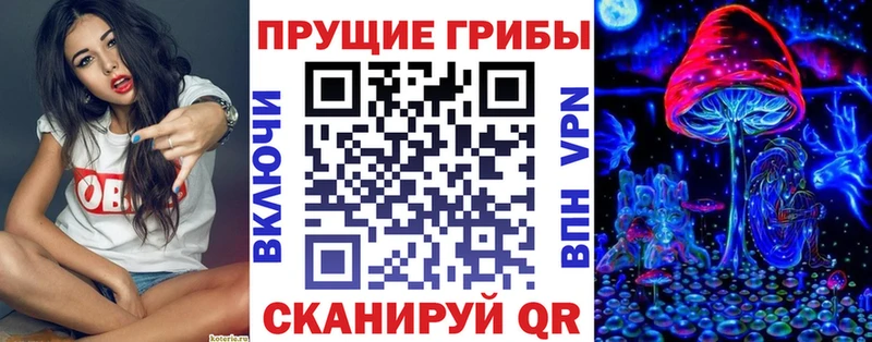 купить наркоту  Ефремов  Псилоцибиновые грибы MAGIC MUSHROOMS 