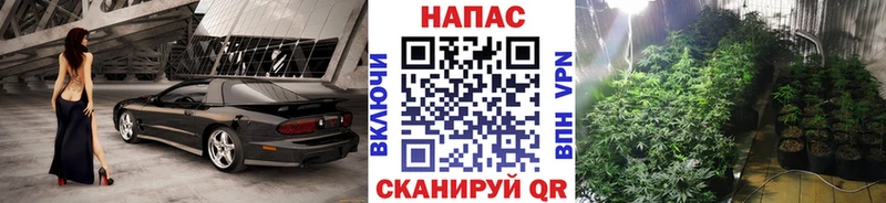 Шишки марихуана Bruce Banner  где найти наркотики  Ефремов 